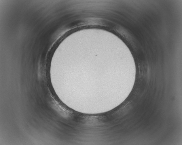 X0000081290828200701111356