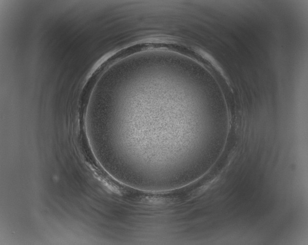 X0000081290829200701111356