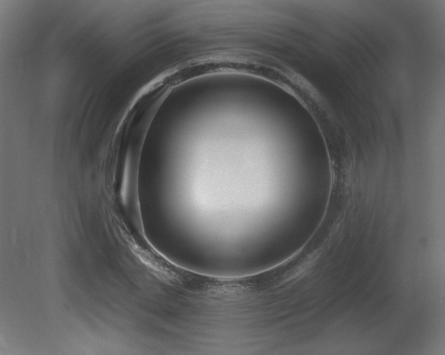 X0000081290830200701111356