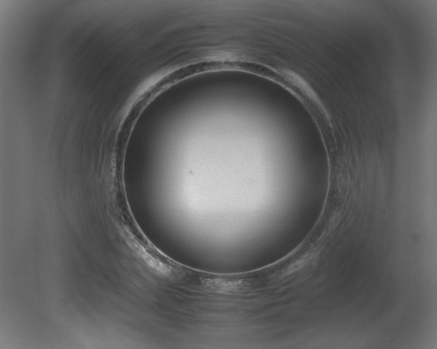 X0000081290831200701111356