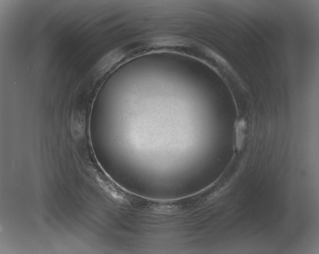 X0000081290833200701111356