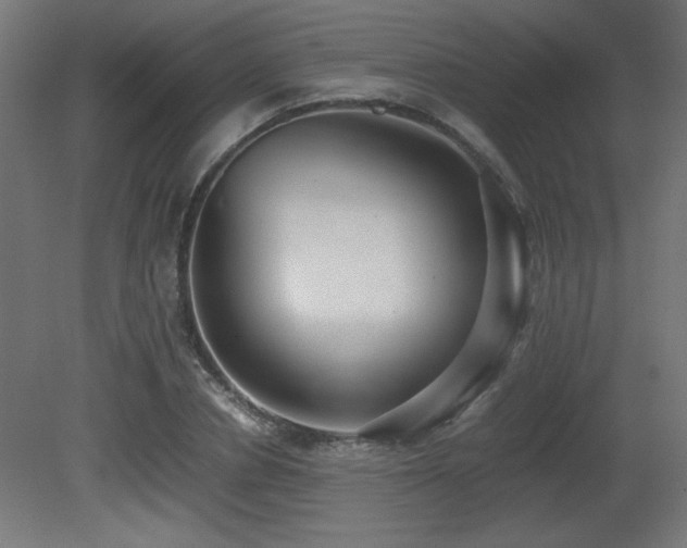 X0000081290834200701111356