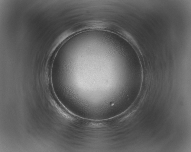 X0000081290835200701111356