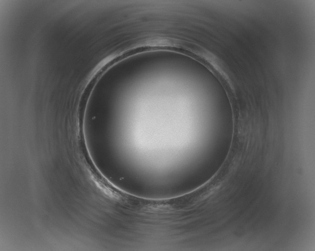 X0000081290837200701111356