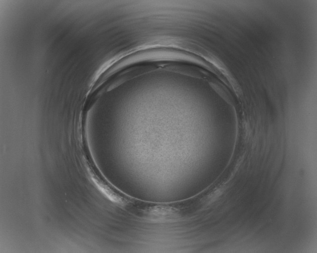 X0000081290842200701111356