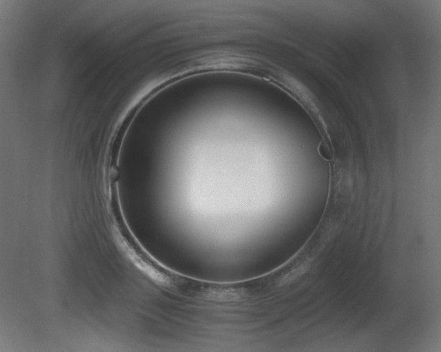 X0000081290843200701111356
