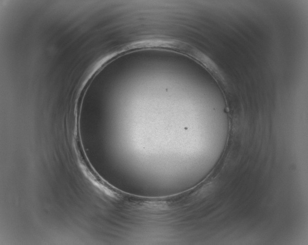 X0000081290844200701111356