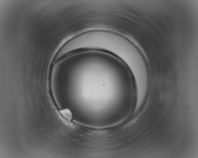X0000081290845200701111356