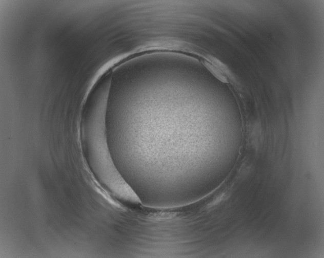 X0000081290846200701111356
