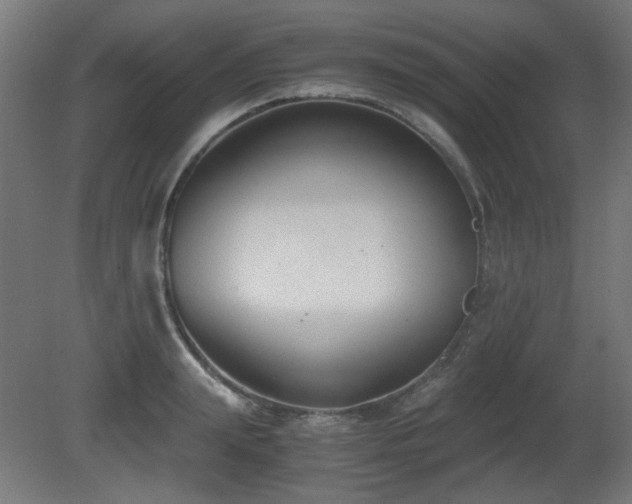 X0000081290847200701111356