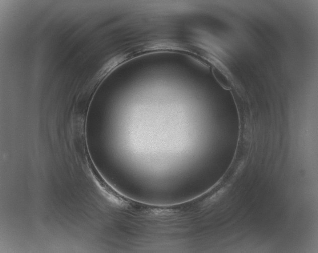 X0000081290849200701111356
