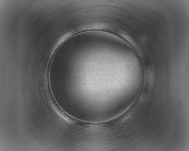 X0000081290850200701111356
