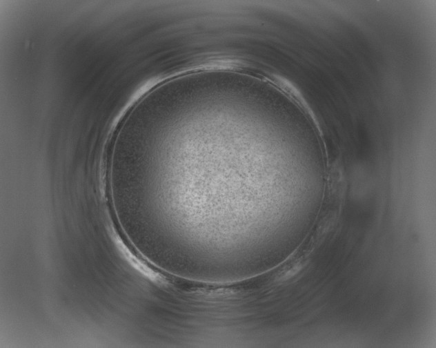 X0000081290851200701111356