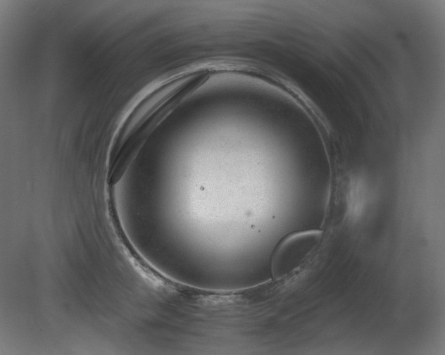 X0000081290853200701111356