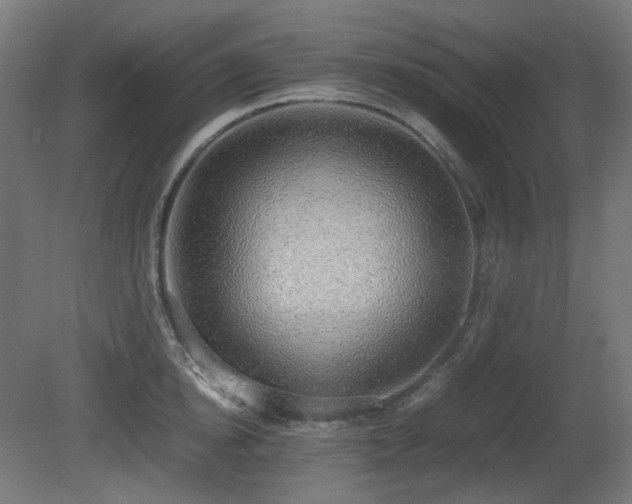 X0000081290854200701111357