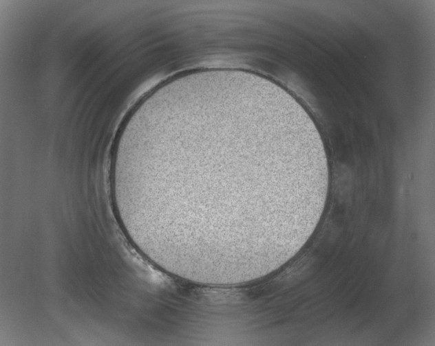 X0000081290856200701111357