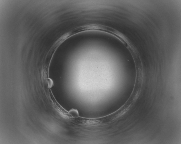 X0000081290857200701111357