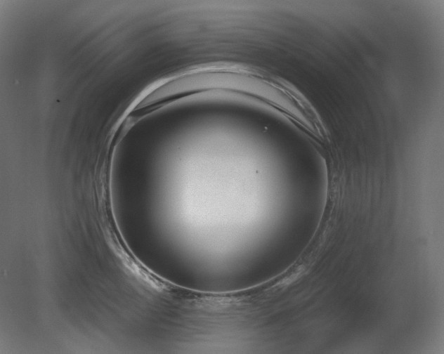 X0000081290860200701111357