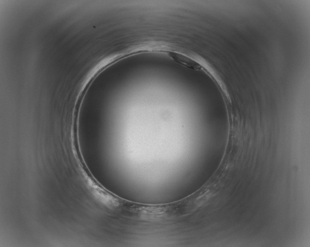 X0000081290861200701111357