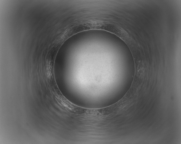 X0000081290866200701111356