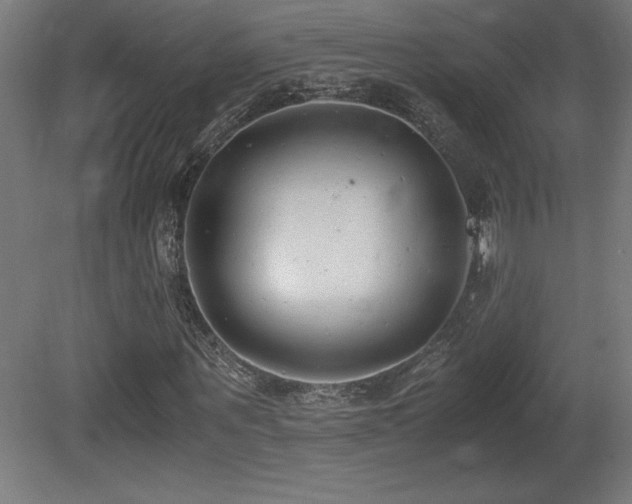 X0000081290867200701111356