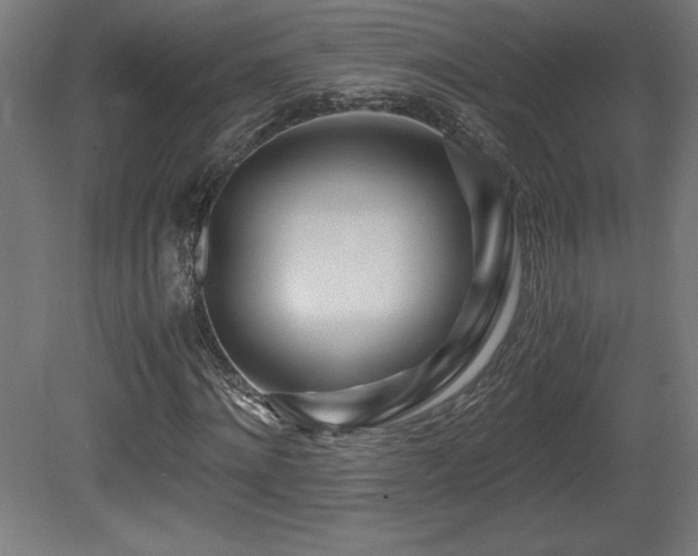 X0000081290868200701111356