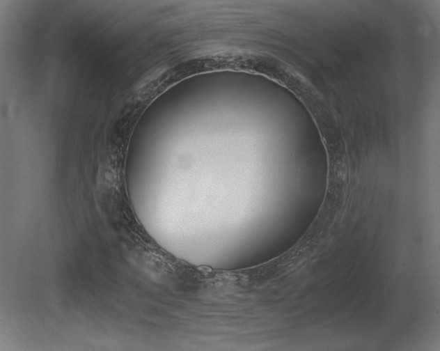 X0000081290869200701111356
