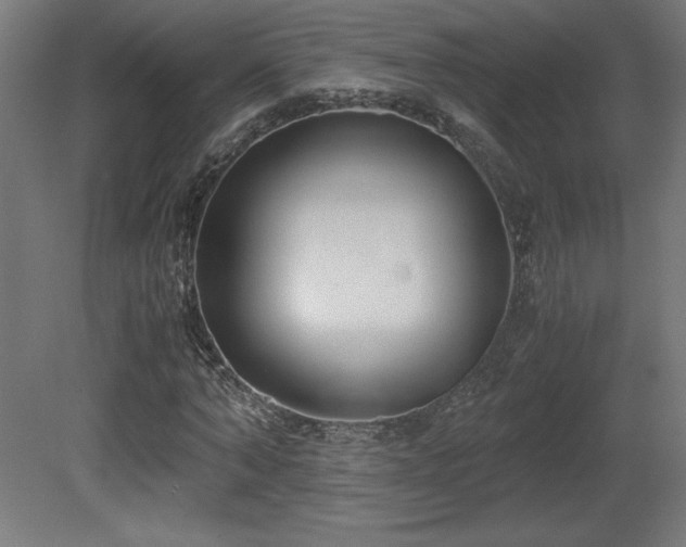 X0000081290870200701111356