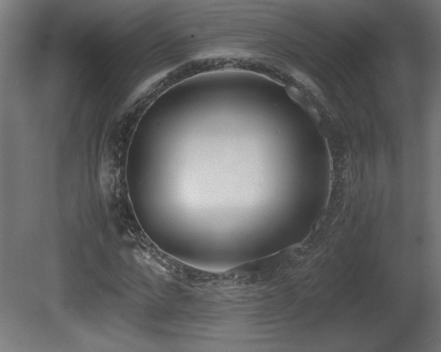 X0000081290872200701111356