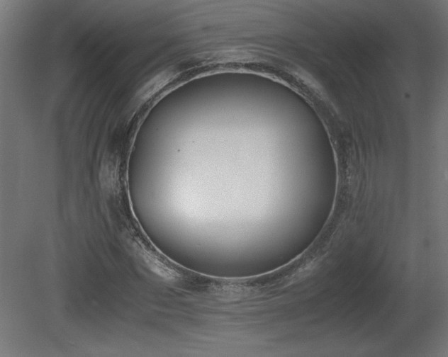 X0000081290873200701111356