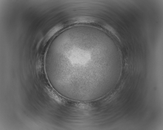 X0000081290874200701111356