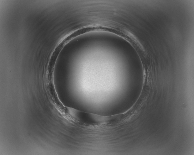 X0000081290876200701111356