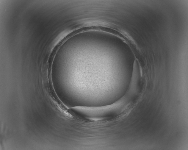 X0000081290877200701111356