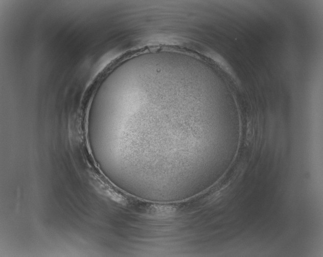 X0000081290878200701111356