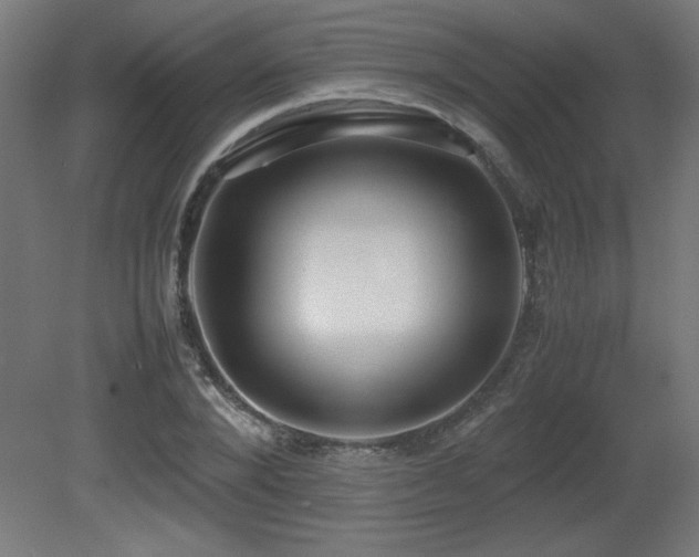 X0000081290880200701111356