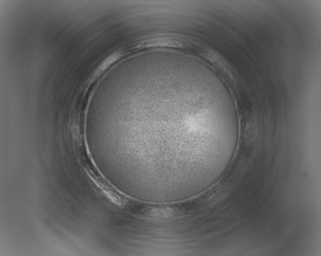X0000081290882200701111356