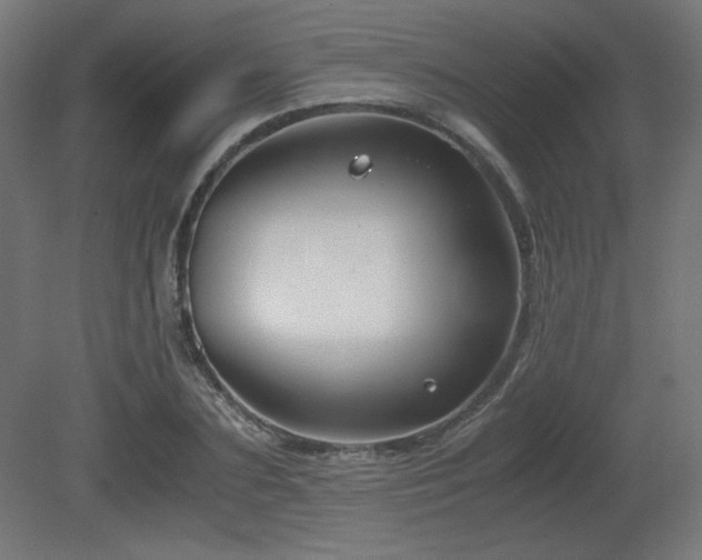 X0000081290883200701111356