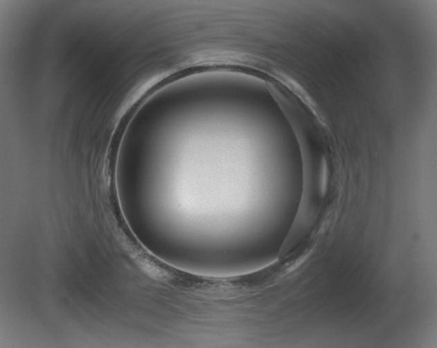 X0000081290885200701111356