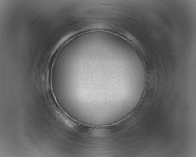 X0000081290886200701111356