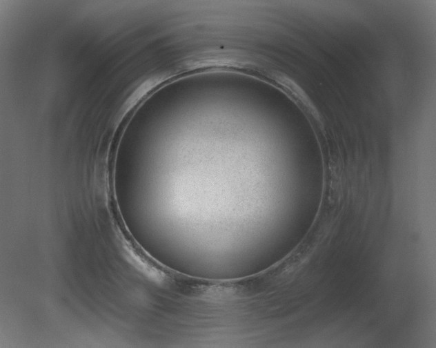 X0000081290890200701111355