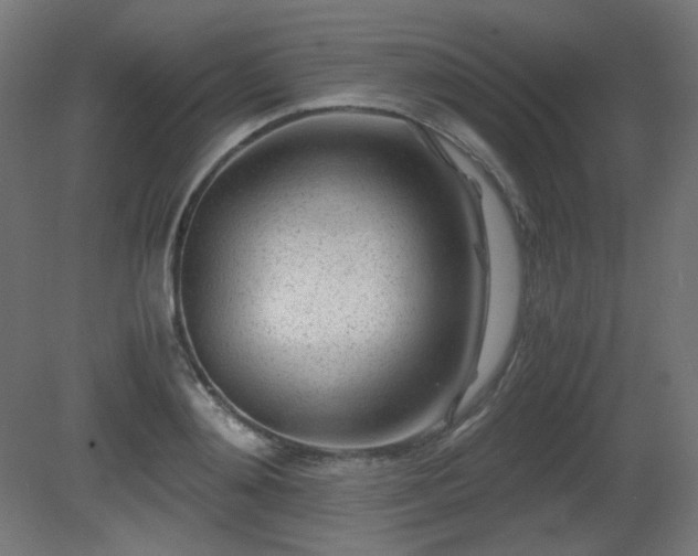 X0000081290892200701111355