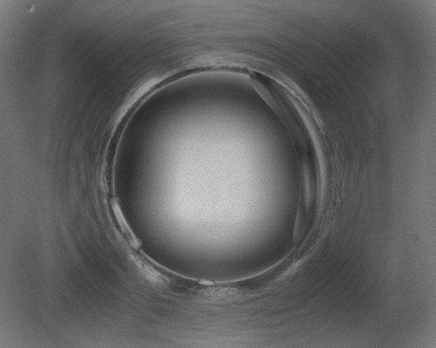 X0000081290893200701111355