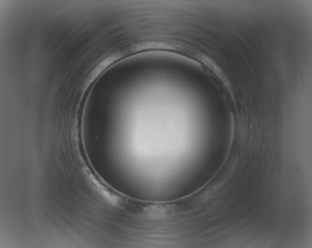 X0000081290898200701111355