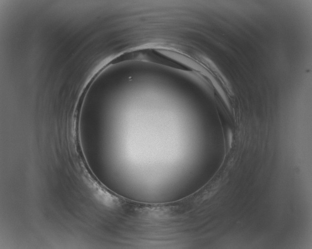 X0000081290900200701111355