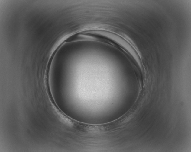 X0000081290901200701111355