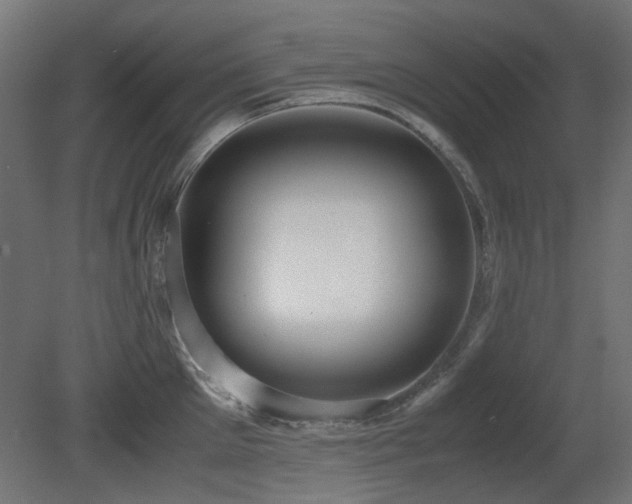 X0000081290905200701111355