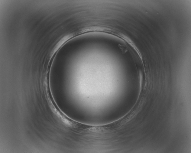 X0000081290906200701111355