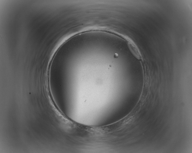 X0000081290911200701111355