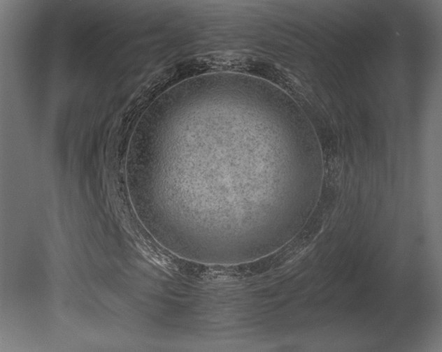 X0000081290913200701111354