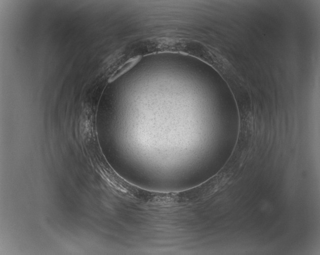 X0000081290914200701111354